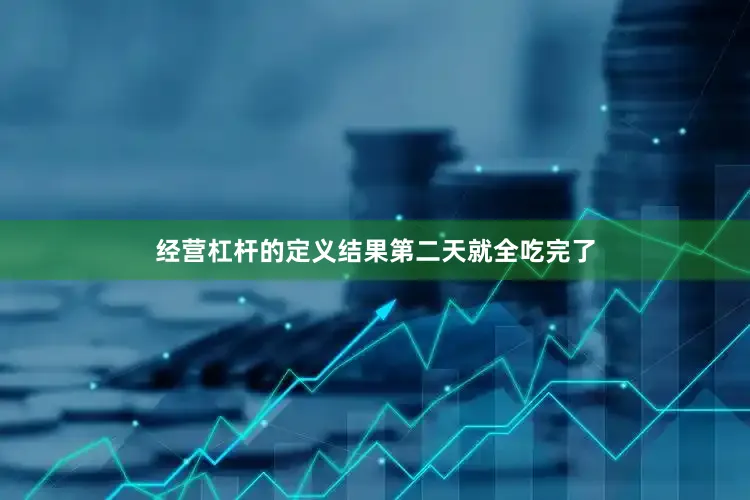 经营杠杆的定义结果第二天就全吃完了