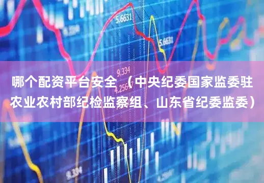 哪个配资平台安全 （中央纪委国家监委驻农业农村部纪检监察组、山东省纪委监委）